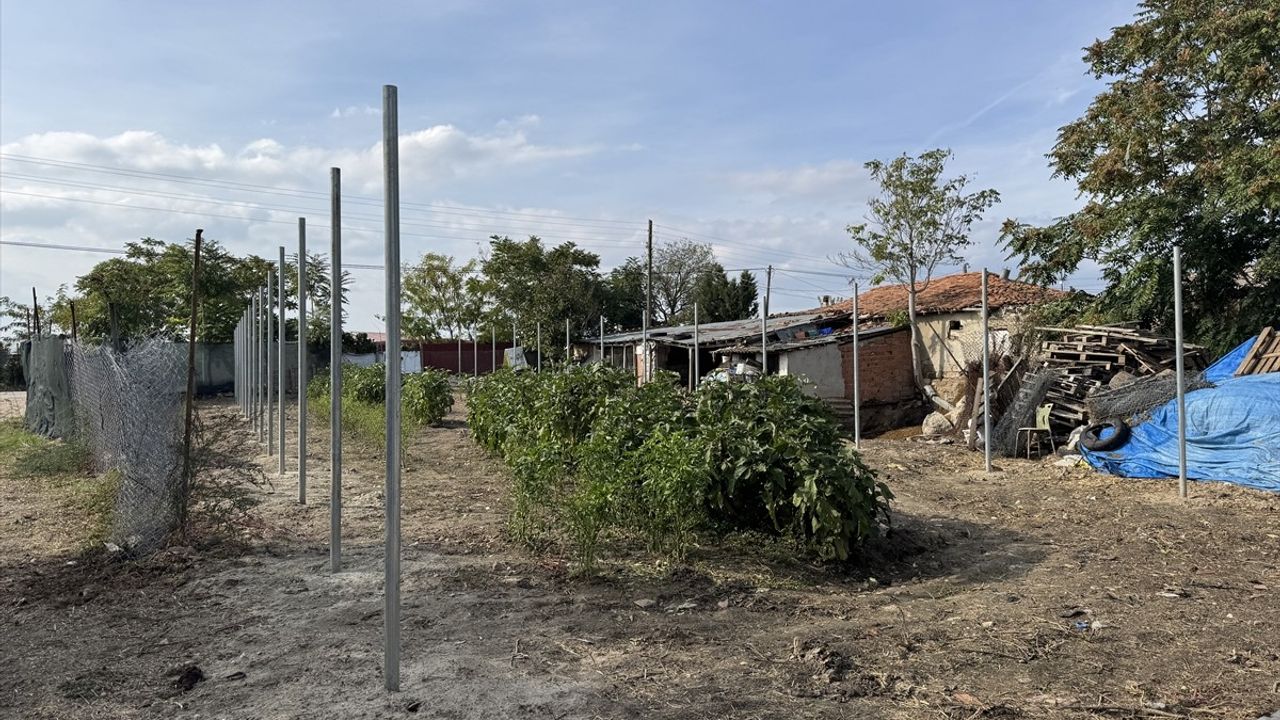 Edirne'nin Şirin Teyzesi İkinci Serasına Kavuşuyor