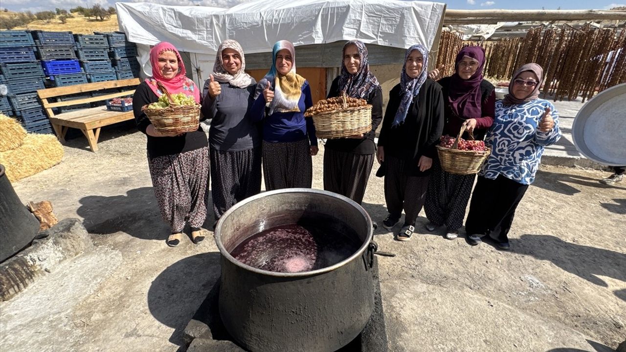 Elazığ'ın Orcik Üretimi Başladı