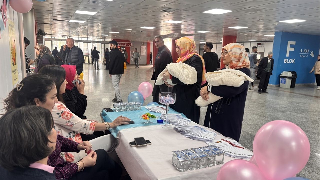 Erzurum'da Emzirme Haftası Etkinliği: Sağlıkçılar Anne Sütünün Önemi Vurguladı