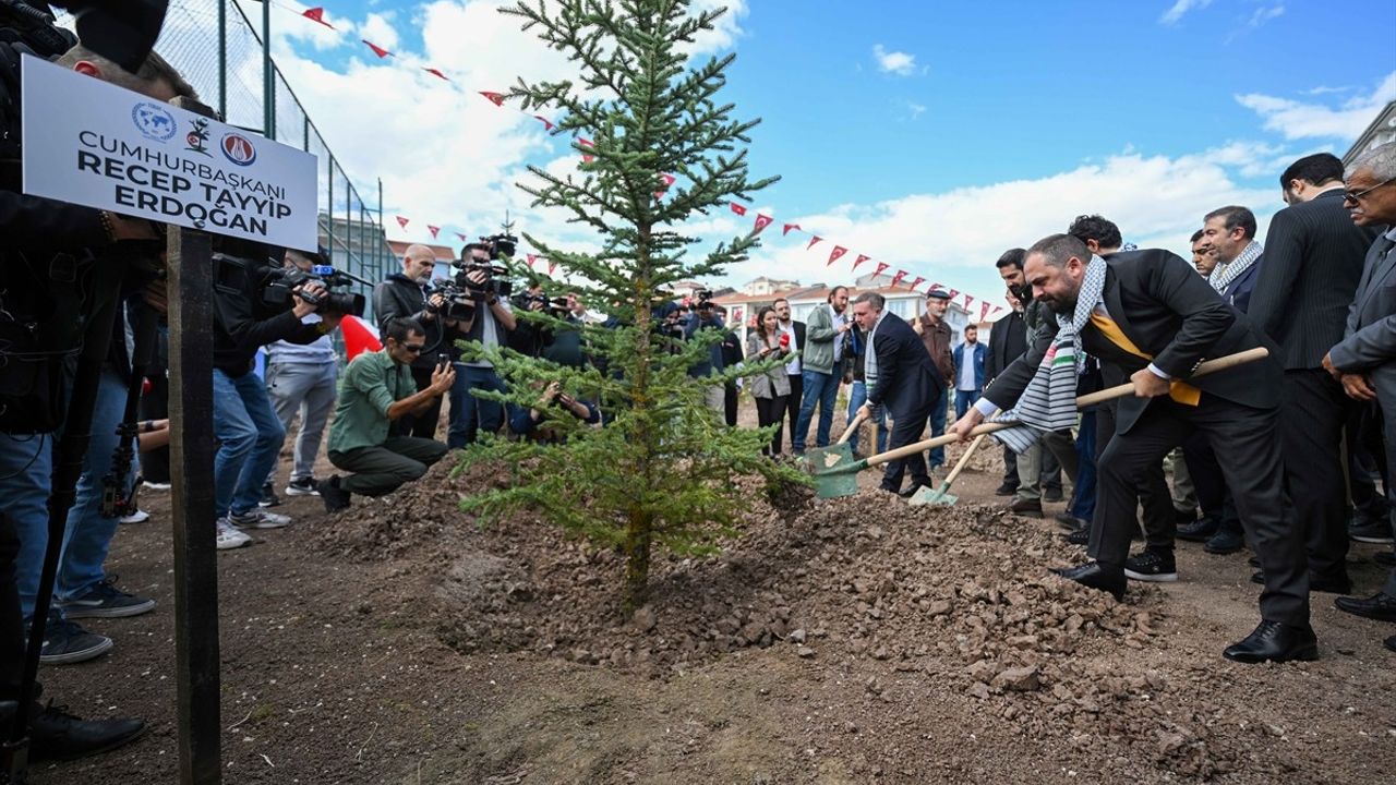 Filistinli Gazeteciler İçin Fidan Dikim Töreni
