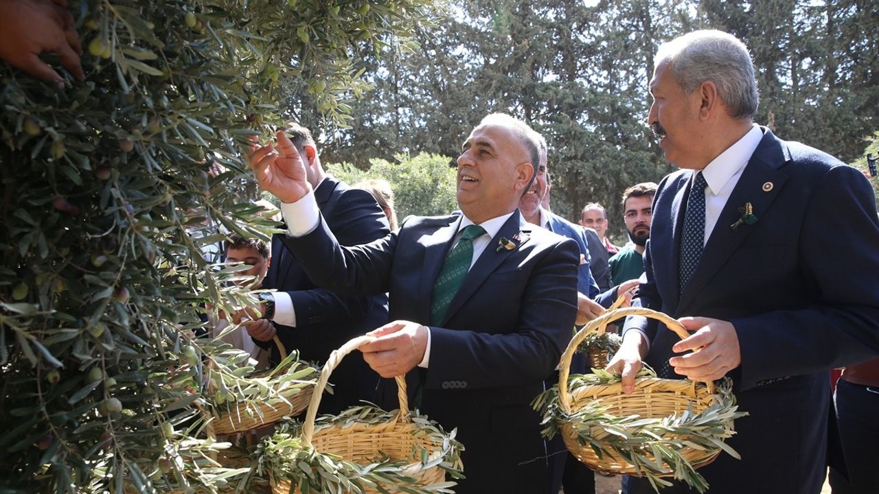 Hatay'da 9. Zeytin, Zeytinyağı ve Gastronomi Festivali Başladı