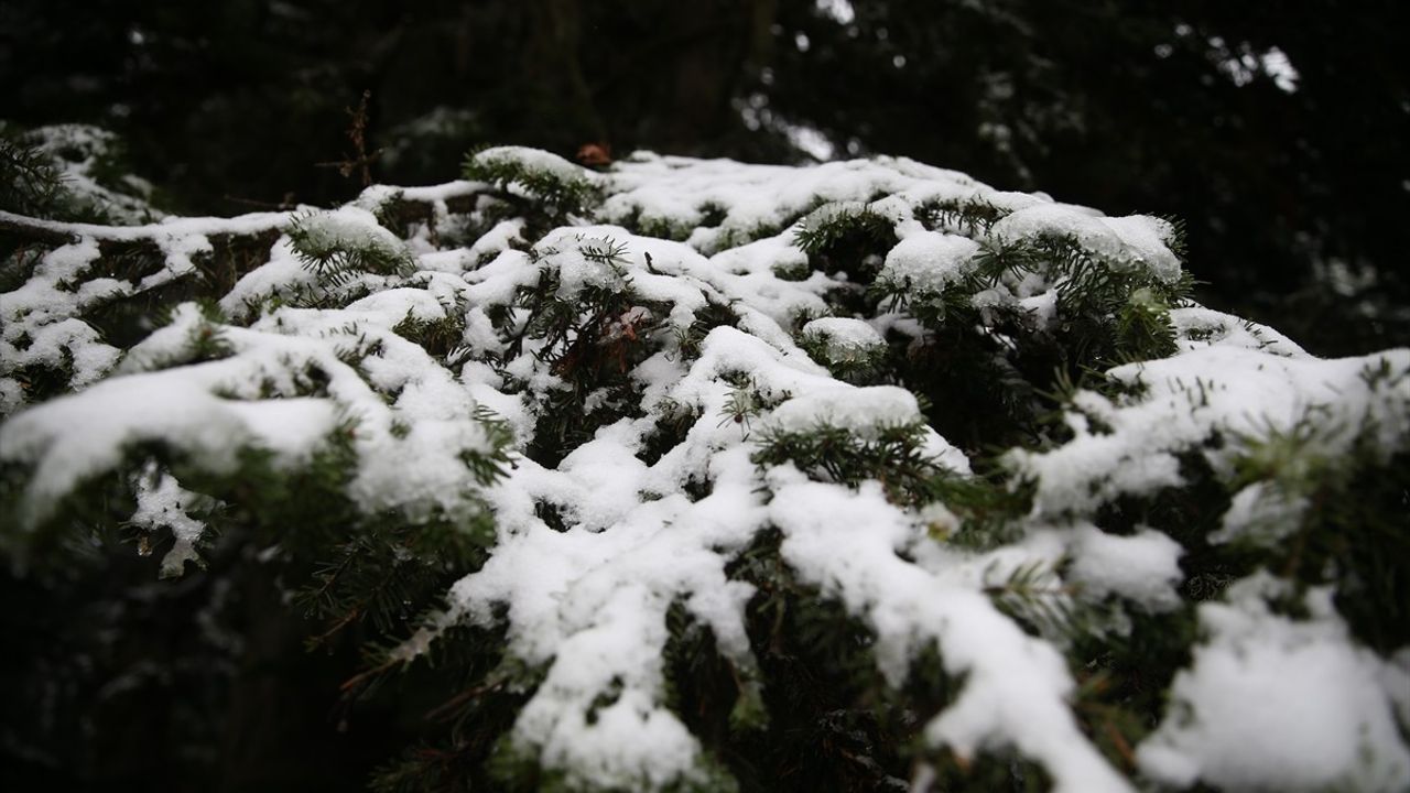Ilgaz Dağı'nda Kar ve Sis Etkili Oluyor