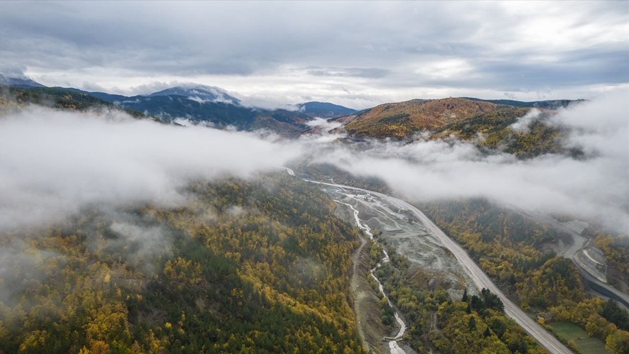 Ilgaz Dağı'nda Sis Etkisi