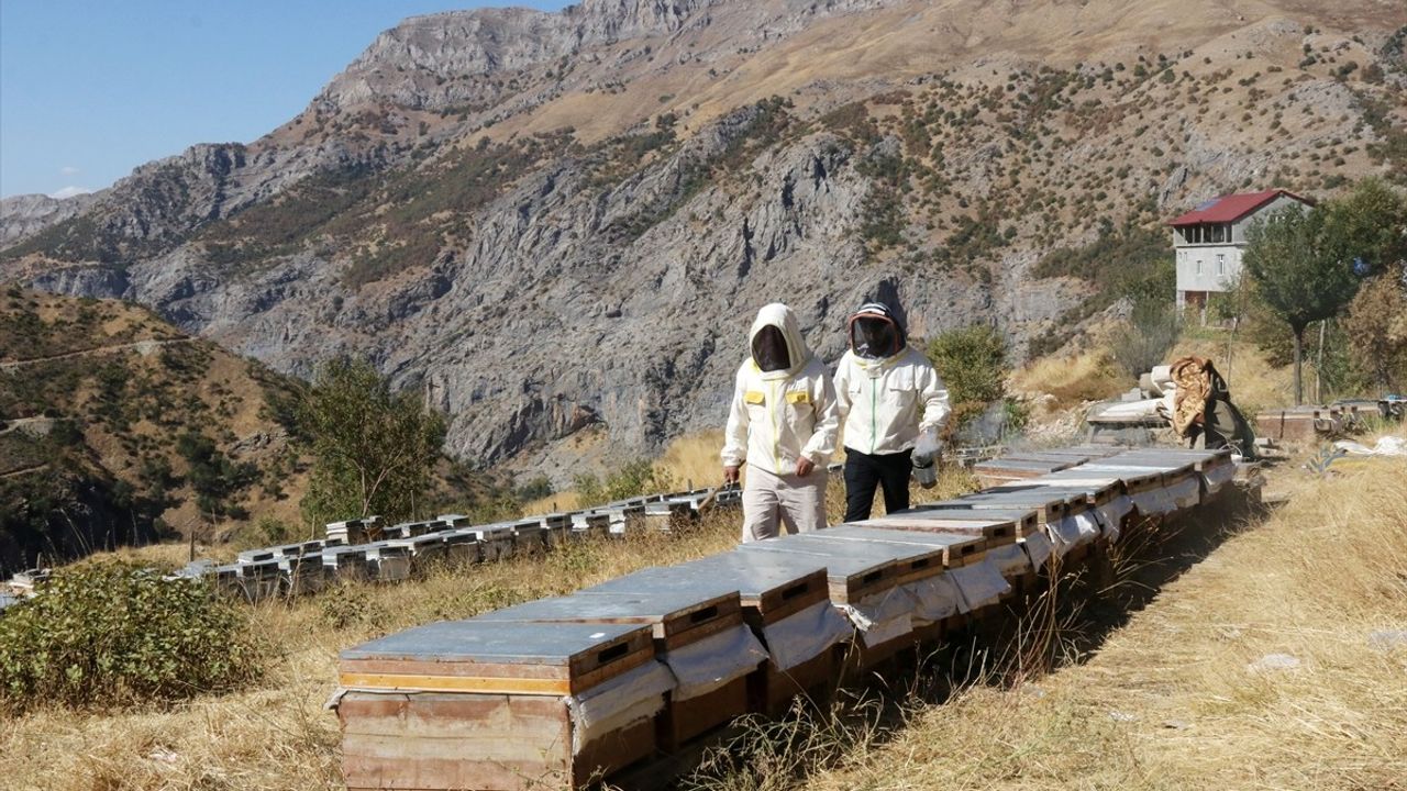 Ismet Akkoyun'un Yılda 2,5 Ton Bal Üretimi: Ziyaret Köyü'nde Yeniden Yaşamak
