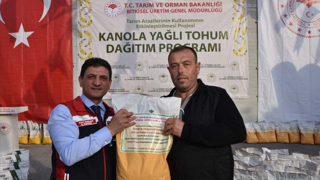 İstanbul'da Kanola Tohumu Dağıtımı