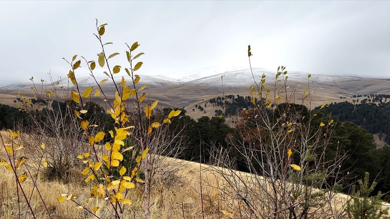Kars'ın Sarıkamış ilçesinde kar yağışı etkili oldu