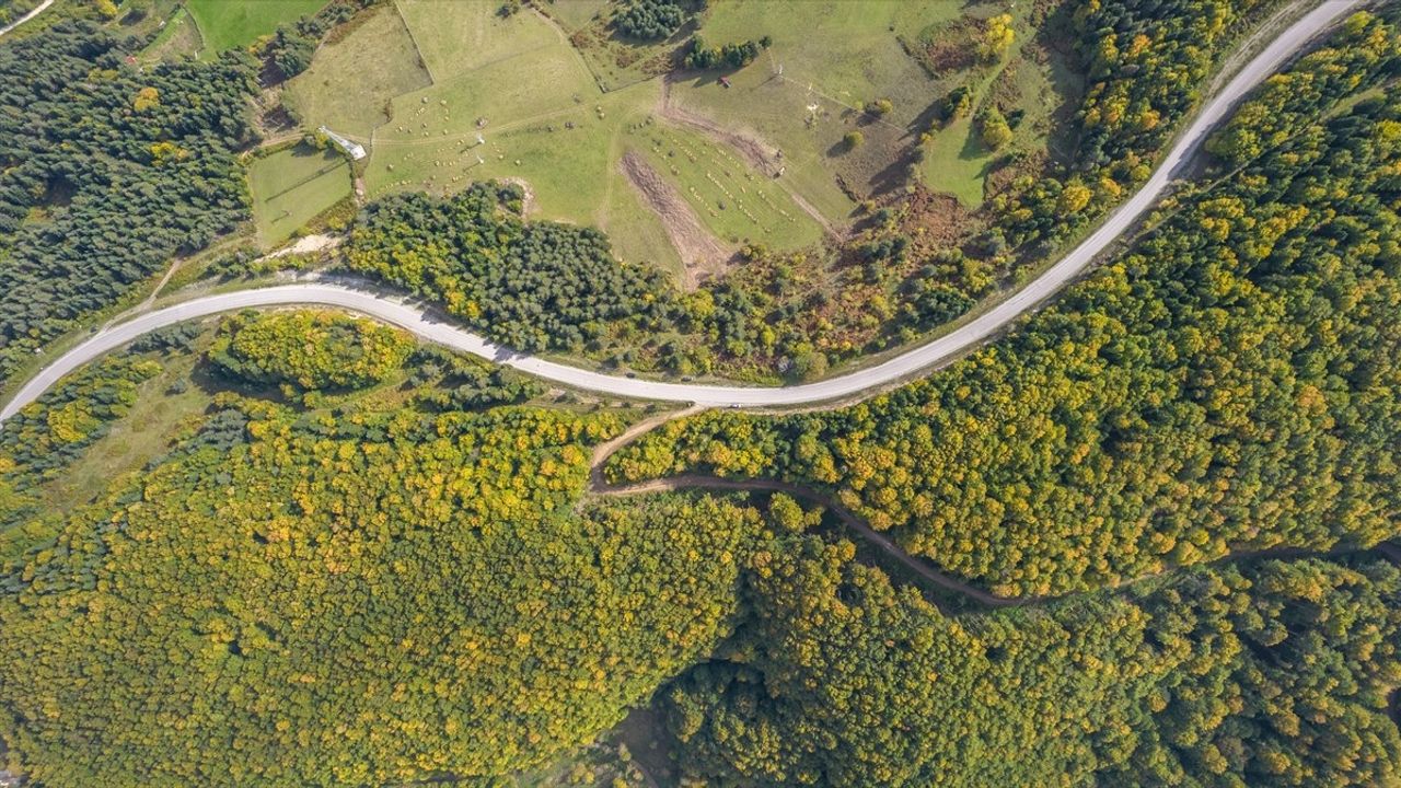 Kastamonu Ormanlarında Sonbahar Renkleri Havai Görüntülerle Belgelendi