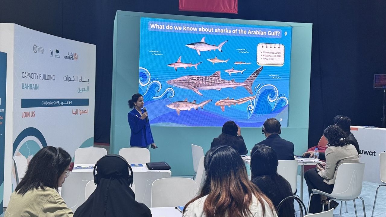 Katar'da Ulusal İklim Değişikliği Diyaloğu Konferansı