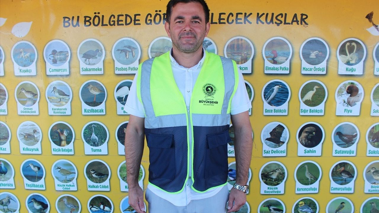 Kızılırmak Deltası Kuş Cenneti Sonbahar Göçlerine Hazırlanıyor