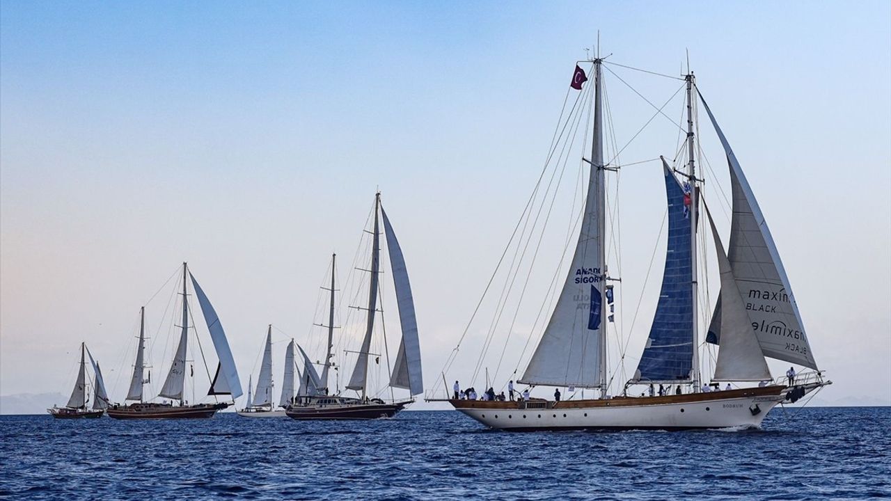 Maximiles Black The Bodrum Cup Yelken Yarışları Yalıkavak-İasos Etabında