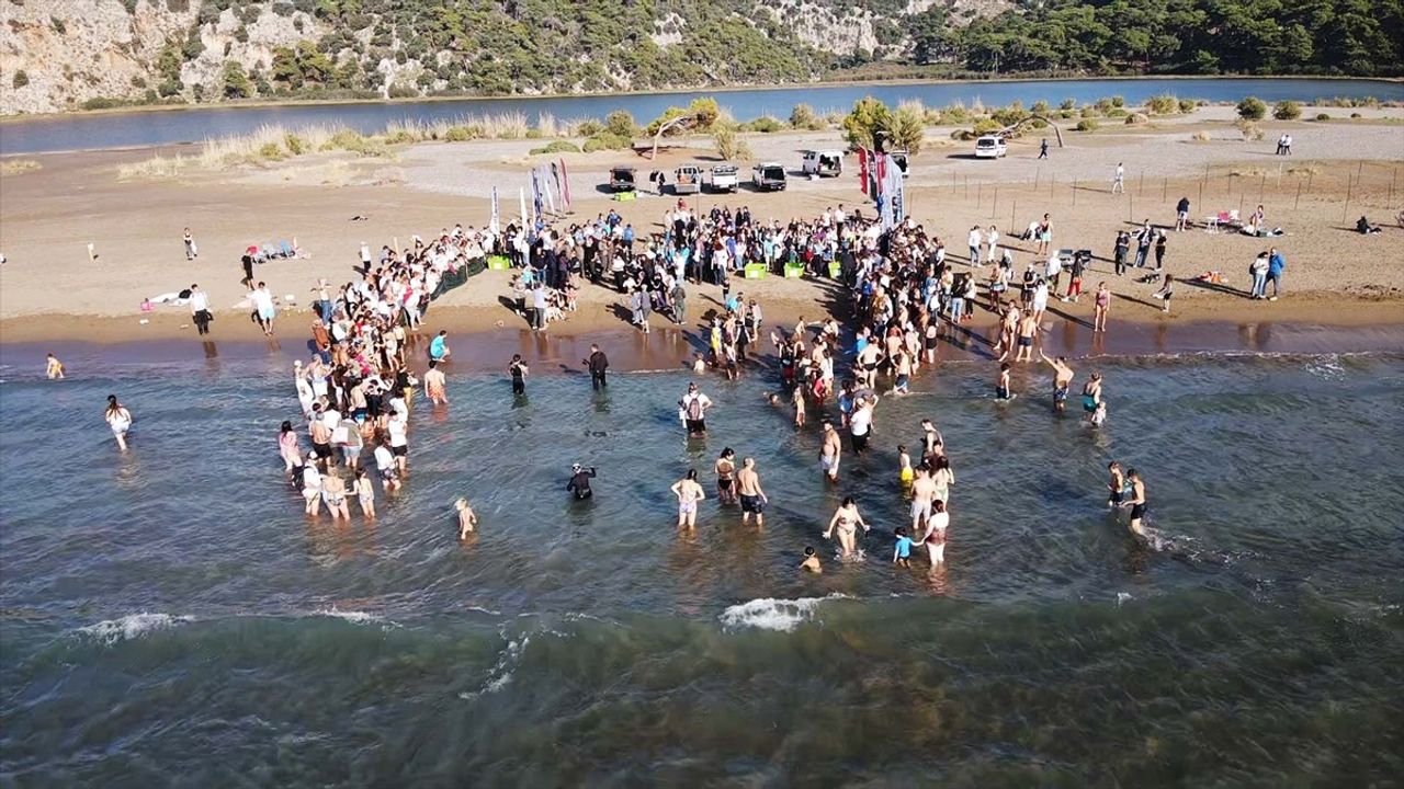 Muğla'da Deniz Kaplumbağalarının Denizle Buluşması
