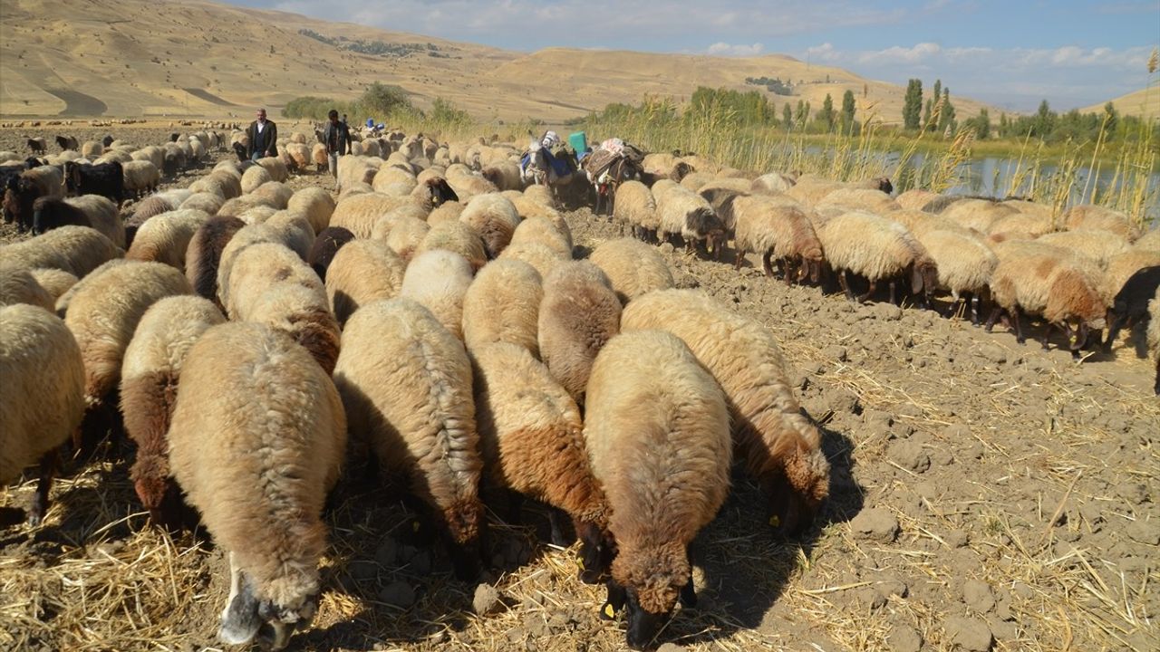 Muş'ta Göçerler Soğuyan Hava ile Dönüş Yolculuğuna Başladı