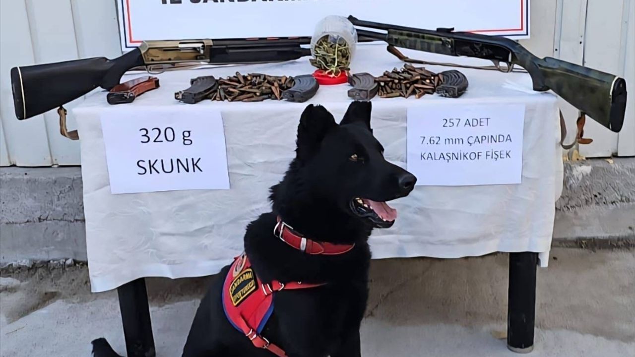 Muş'ta Jandarma Operasyonu: Uyuşturucu ve Mühimmat Ele Geçirildi