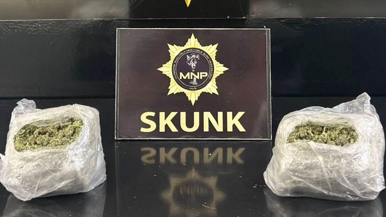 Muş'ta Uyuşturucu Operasyonu: İki Şüpheli Tutuklandı
