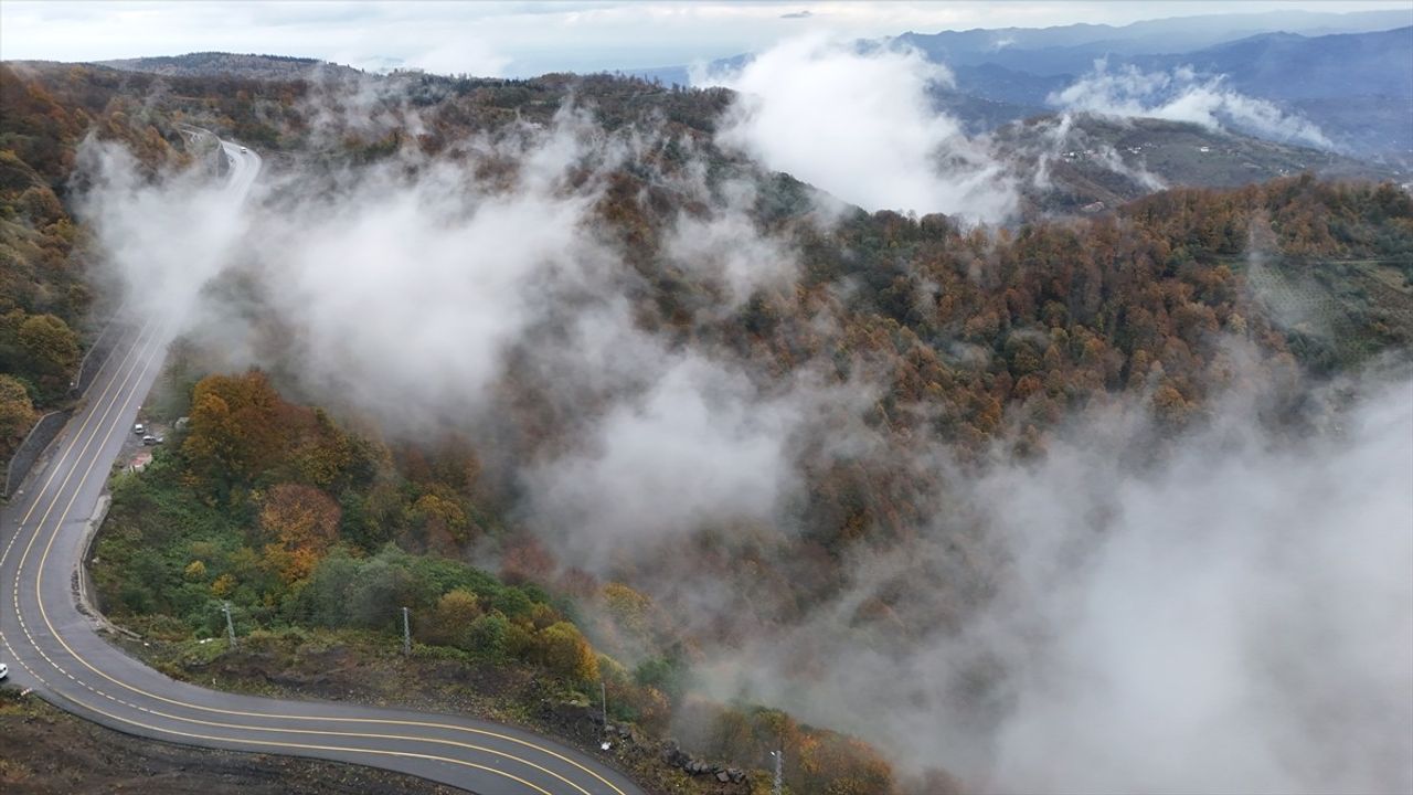 Ordu'daki Sonbahar Güzellikleri Sisle Süsleniyor