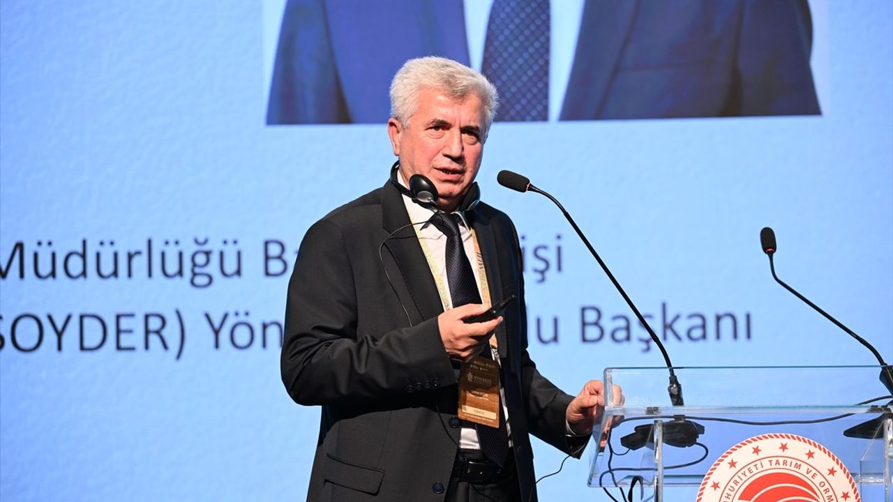 Ormanların Gıda Açısından Önemi İstanbul'da Tartışıldı