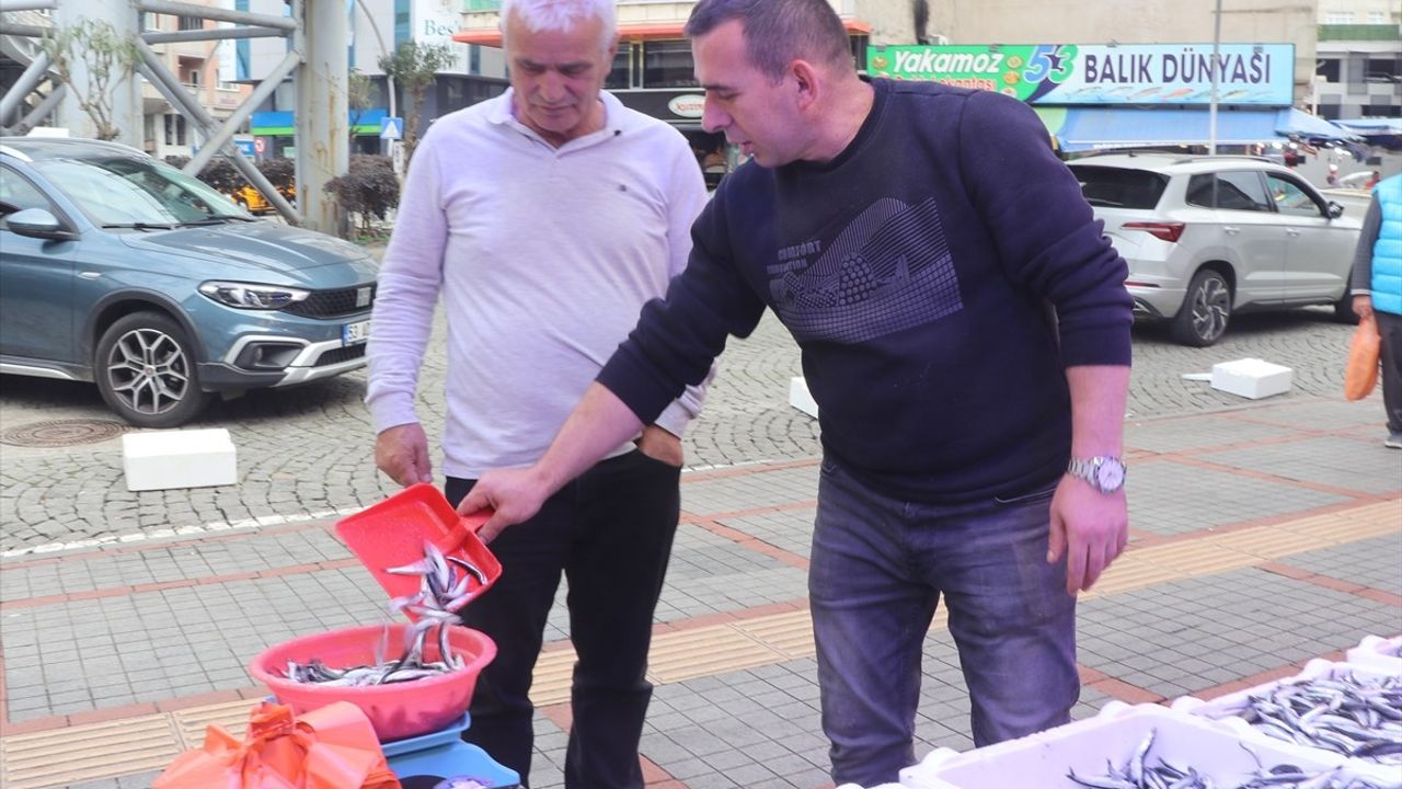 Rize'de Hamsi Bolluğu ve Uygun Fiyatlar