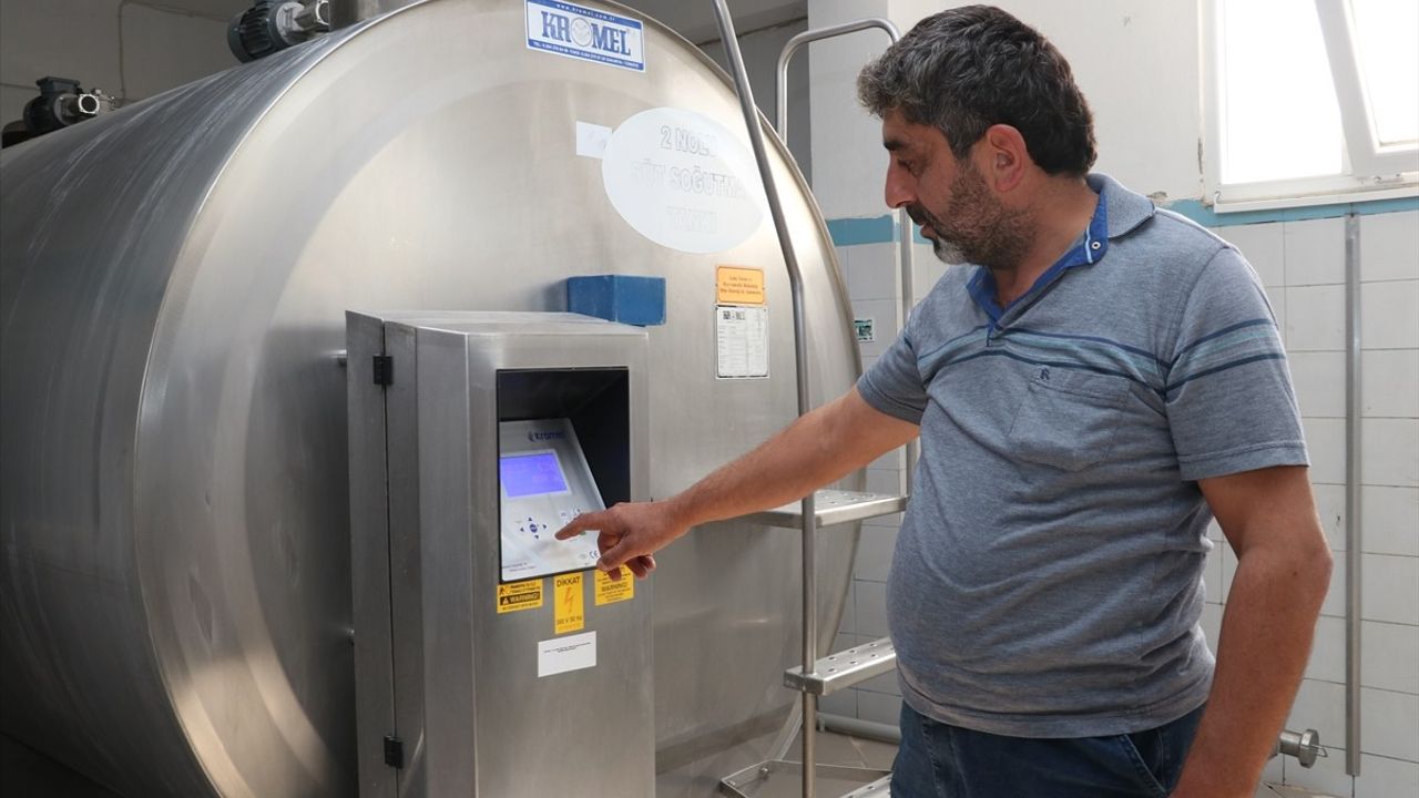 Sakarya'da Süt Üretimi Artıyor: Tarımsal Kalkınma Kooperatifi'nden Yeni Proje