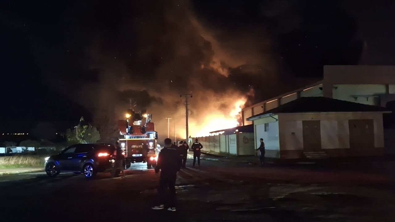 Samsun'da Geri Dönüşüm Fabrikasında Yangın Çıktı