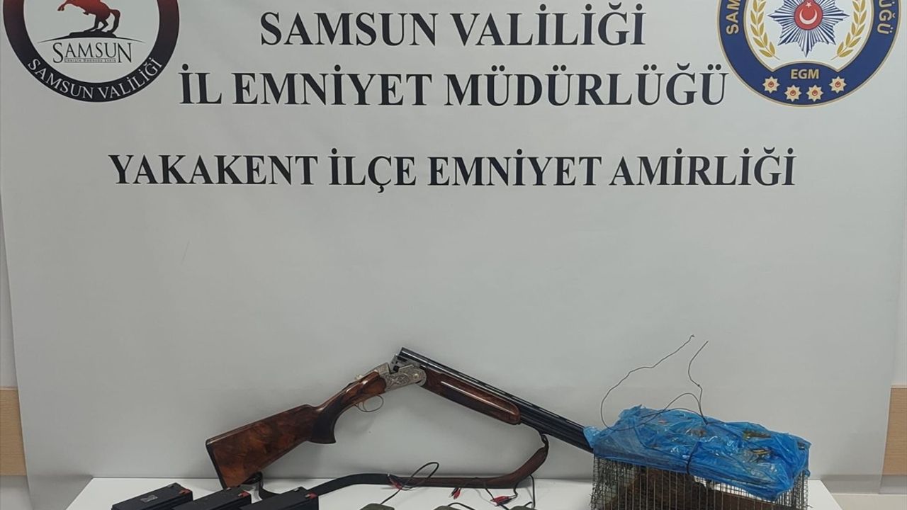 Samsun'da Kaçak Bıldırcın Avına Ceza Yağdı