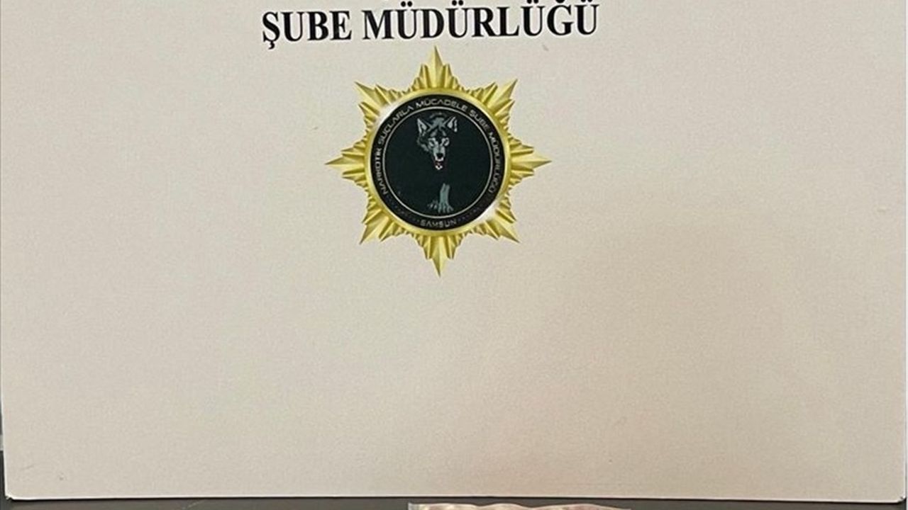 Samsun'da Narkotik Operasyonu: 10 Gözaltı