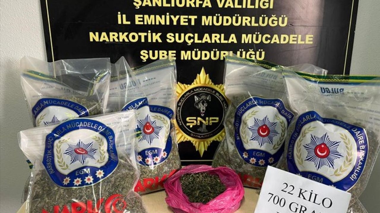 Veb-kamerada jinsiy aloqa soriladi va cums