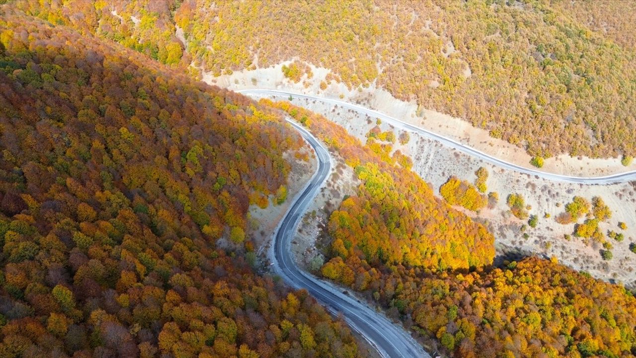 Şebek Geçidi'nde Sonbahar Renkleri