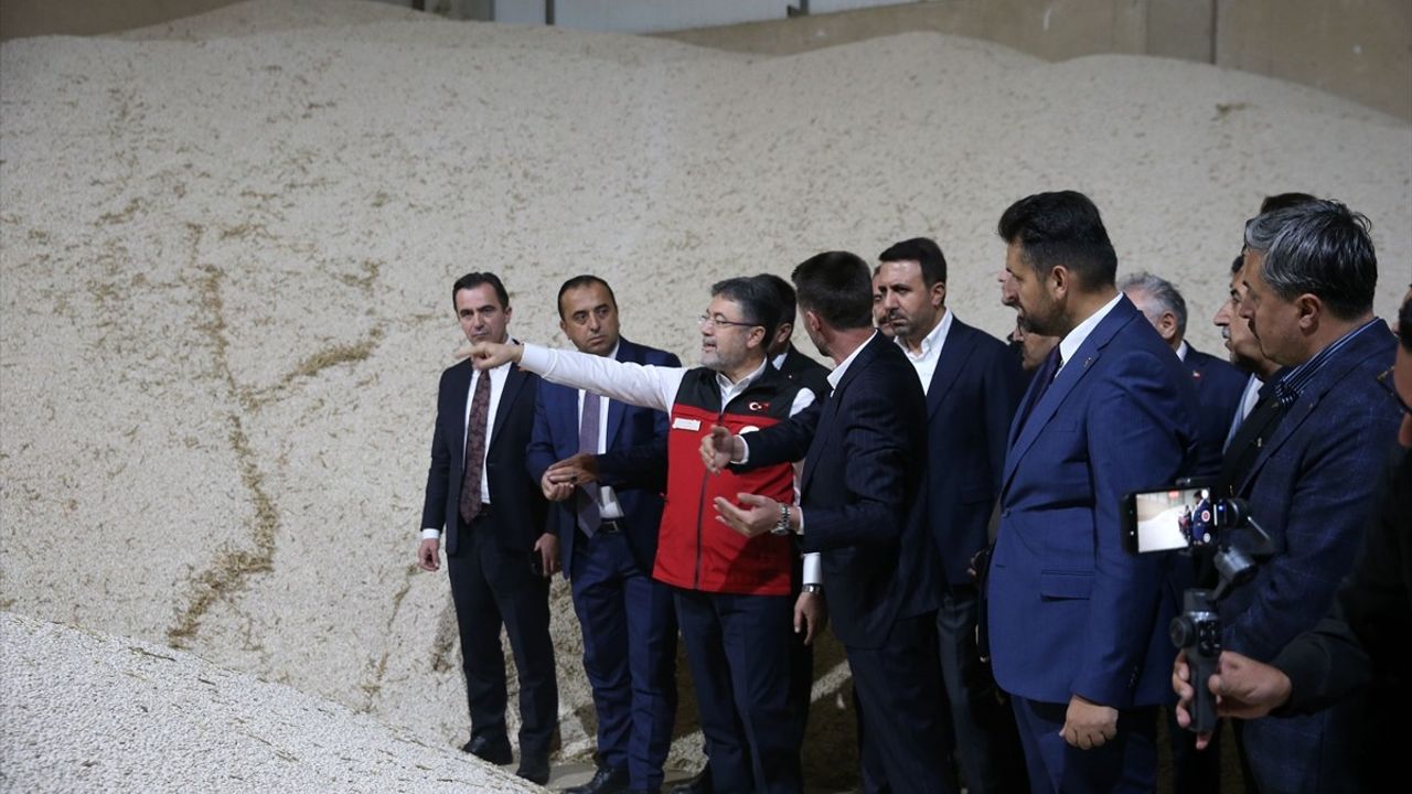Tarım ve Orman Bakanı Yumaklı Bitlis'te Kuru Fasulye Hasadına Katıldı