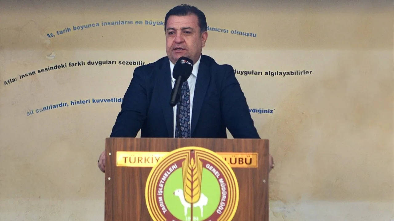 TİGEM'in Rekor Açık Artırması: Hızlı Yasin 10.5 Milyona Satıldı