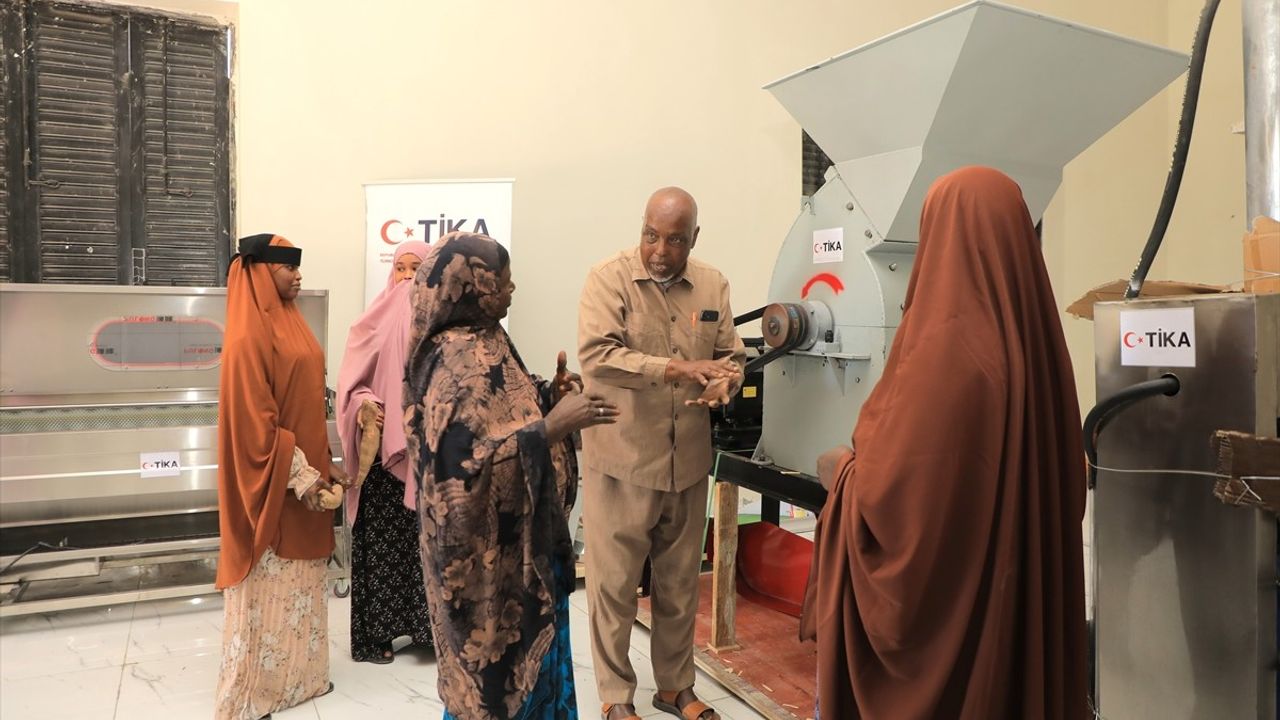 TİKA, Somali'deki Manyok Üreticilerine Ekipman Desteği Sağladı