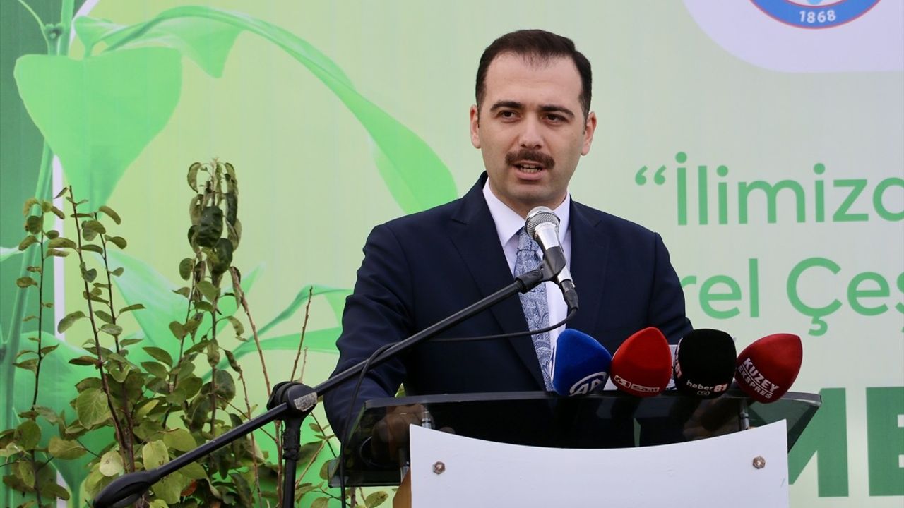 Trabzon'da Ücretsiz Meyve Fidanı Dağıtımı Yapıldı