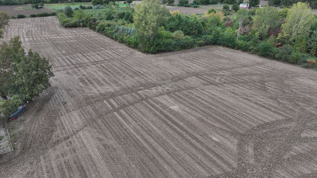 Trakya'da Yağışlar Çiftçileri Sevindirdi
