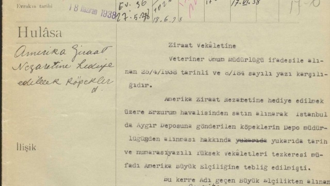 1938'de Erzurum çoban köpekleri: Diplomatik bir armağanın öyküsü