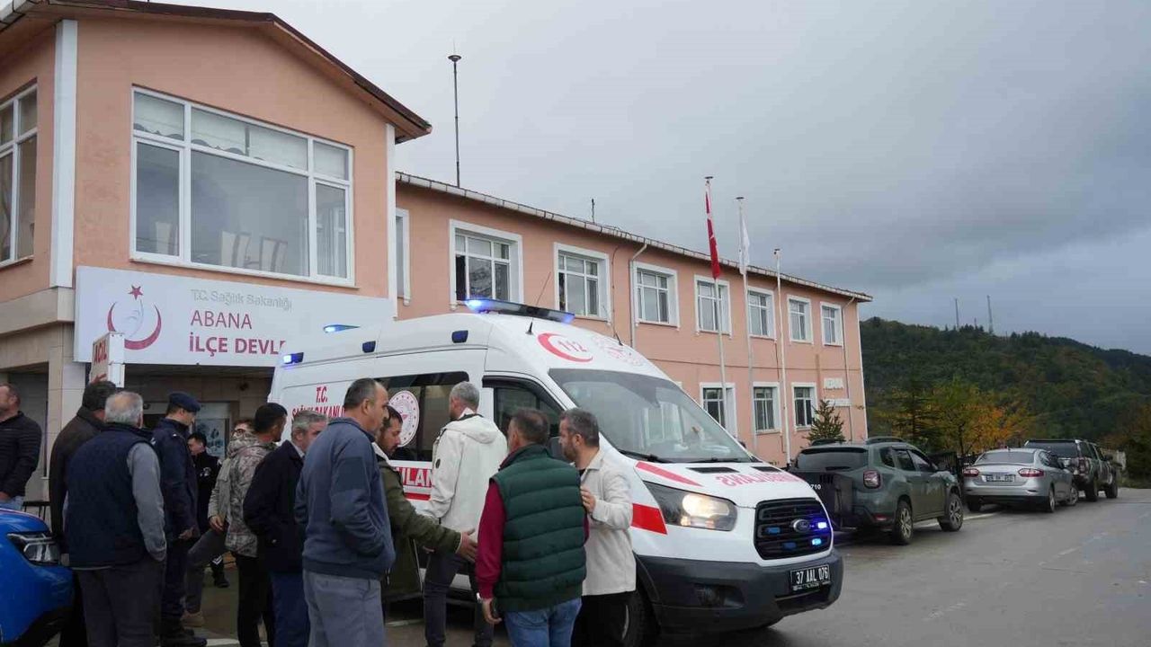 Abana'da mantar toplarken ayı saldırısı: İmam yaralandı