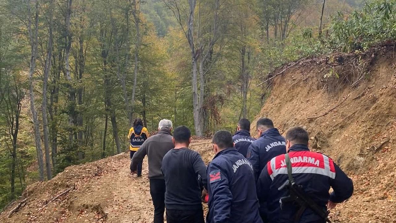 Abana'da ormanda ayı saldırısına uğrayan vatandaş hastaneye sevk edildi
