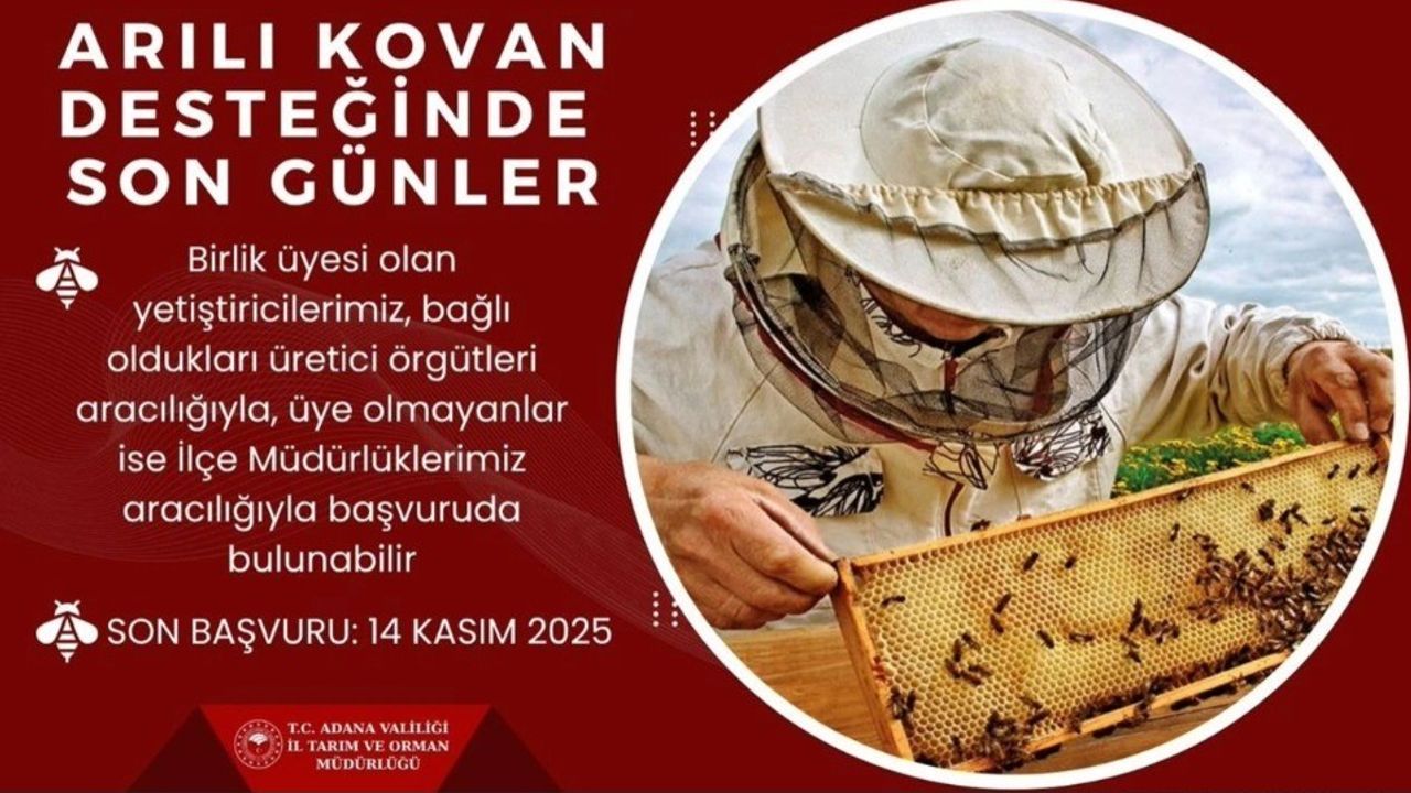 Adana'da arılı kovan desteği başvurularında son gün: 14 Kasım 2025
