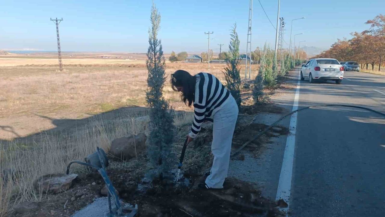 Adilcevaz'da 500 Fidan Dikimi Etkinliği