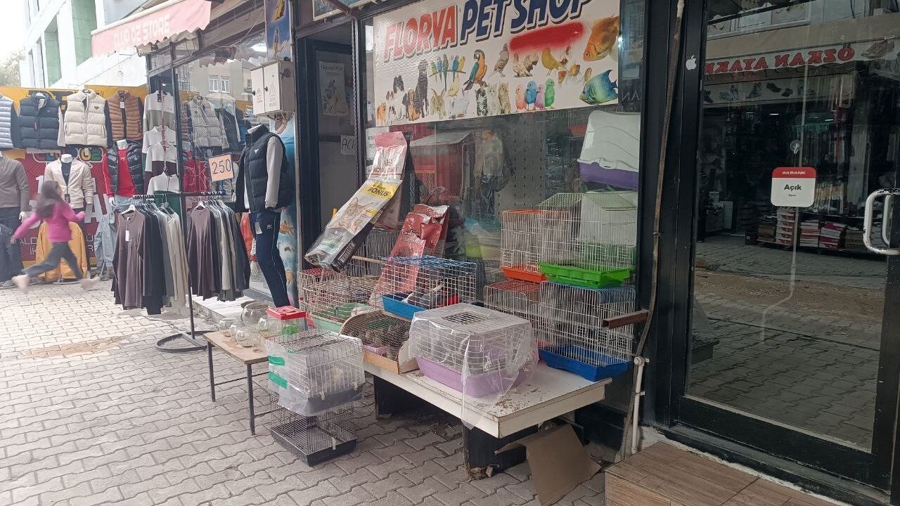 Adıyaman’da petshoptan 9 papağan çalındı
