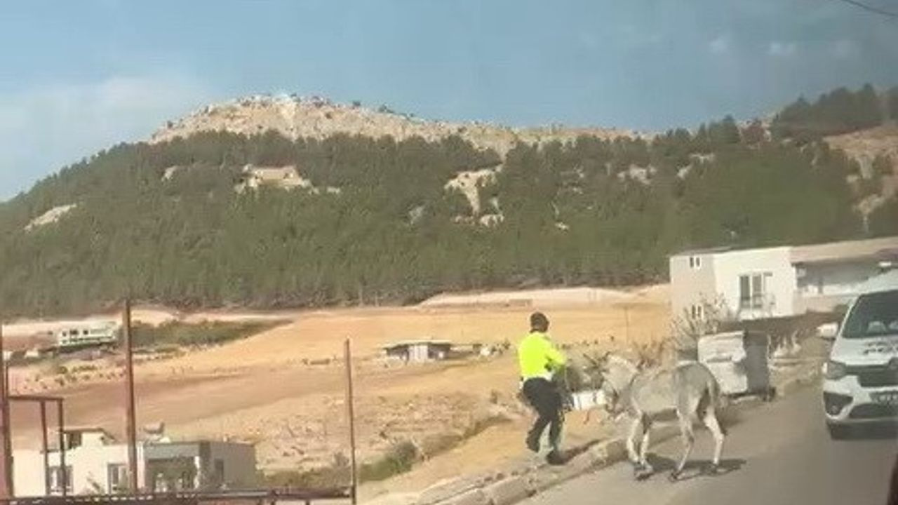 Adıyaman'da yola çıkan eşek trafik polisleri tarafından yol dışına çıkarıldı