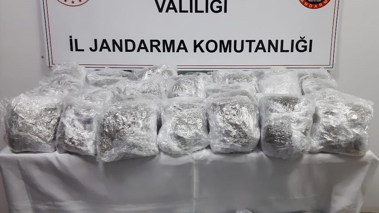 Afyonkarahisar'da jandarma 17 kilogram skunk ele geçirdi