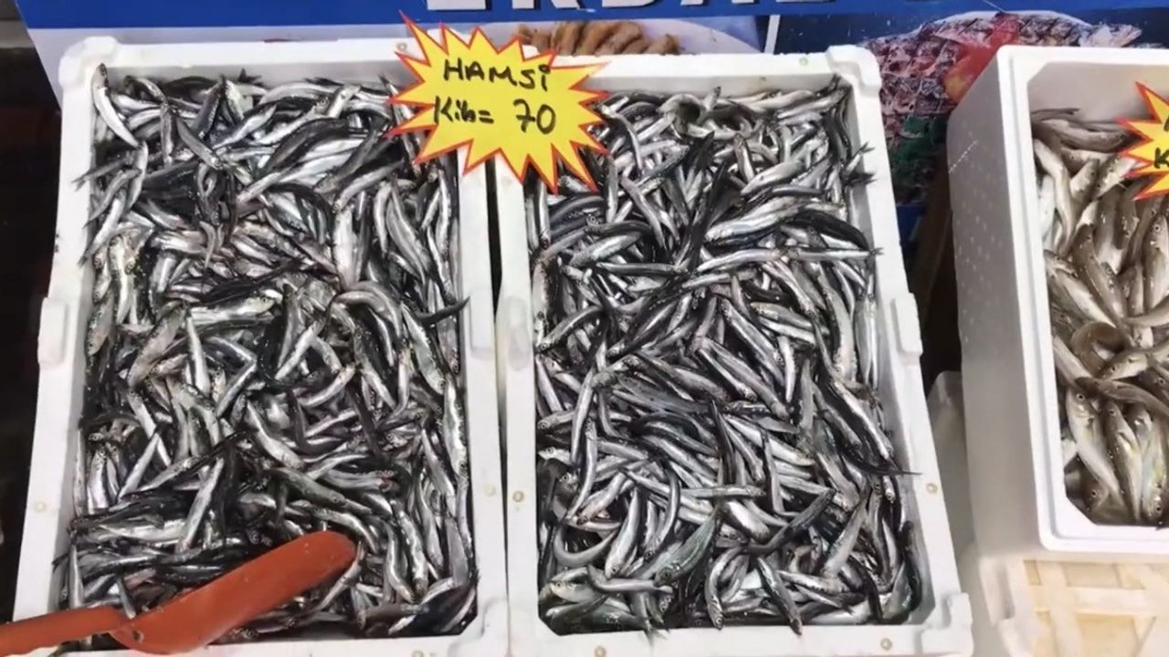 Akçakoca’dan tüketicilere uyarı: Buzhane balığına dikkat