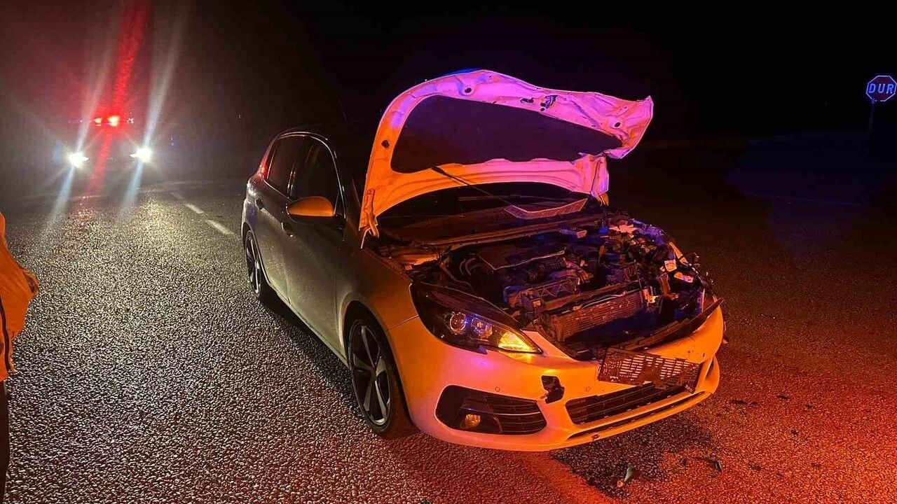 Alaca'da otomobil danaya çarptı: 2 yaralı