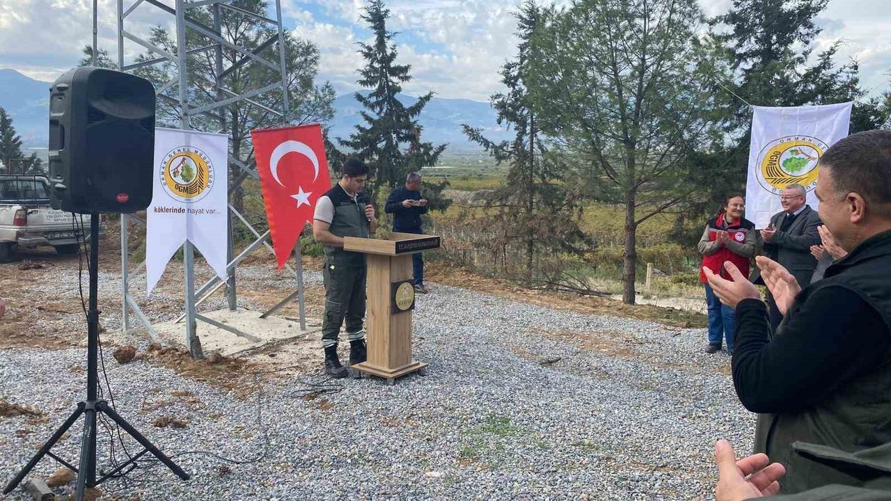 Alaşehir'de 3 bin fıstık çamı fidanı toprakla buluştu — 11 Kasım Milli Ağaçlandırma Günü