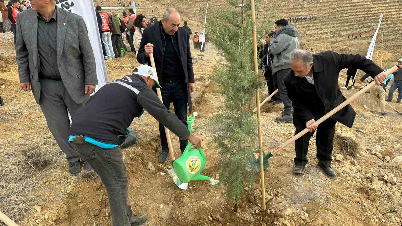 Ali Dağı zirvesine 1111 fidan dikildi