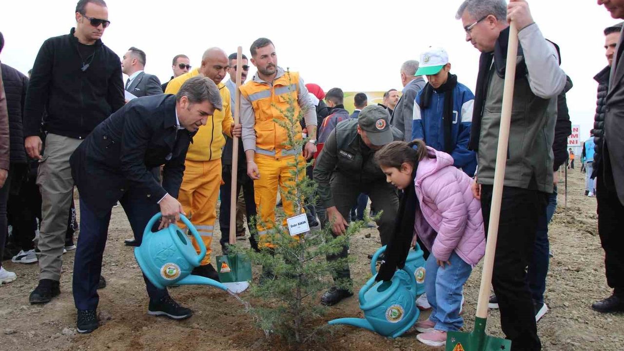 Amasya'da Milli Ağaçlandırma Günü'nde 4 binden fazla fidan toprakla buluştu