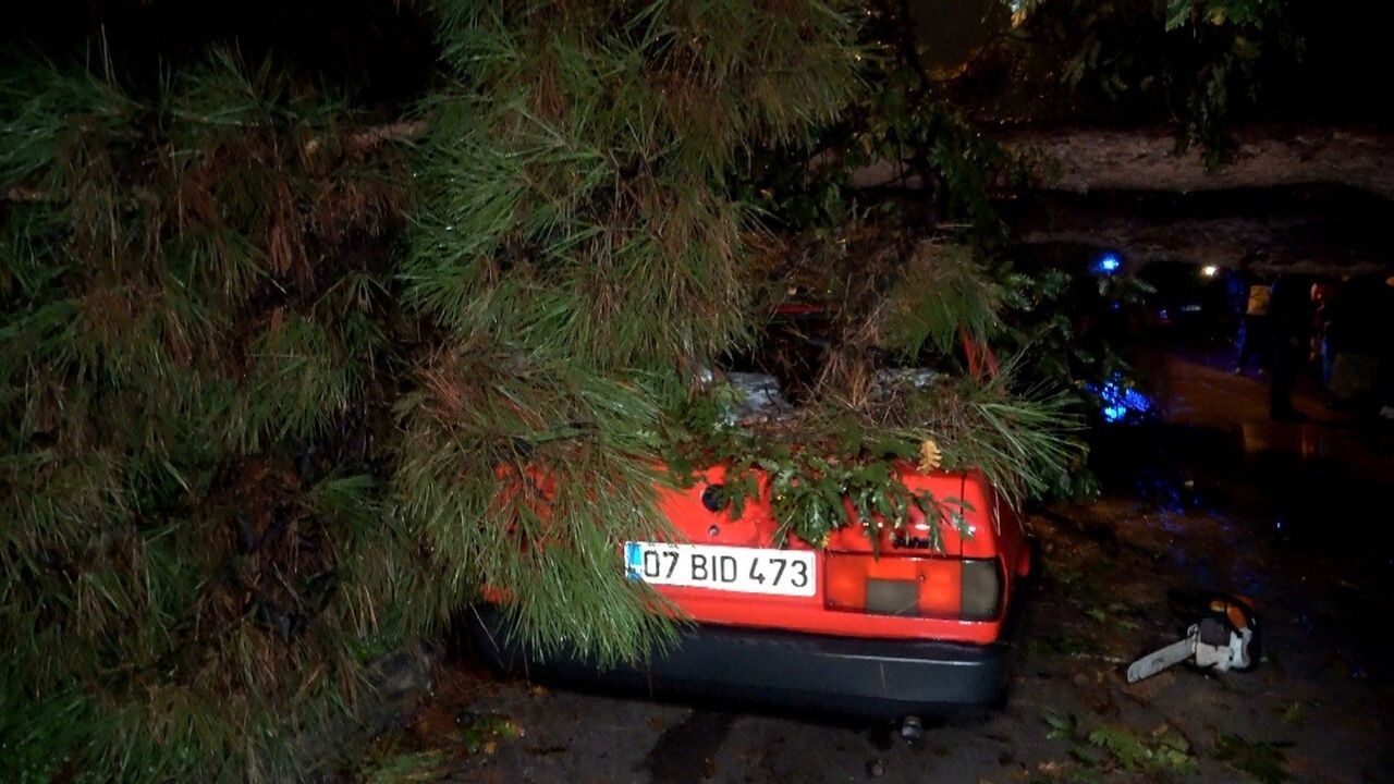 Antalya’da şiddetli rüzgar 10 metrelik ağacı devirdi: İki araç ve bina zarar gördü