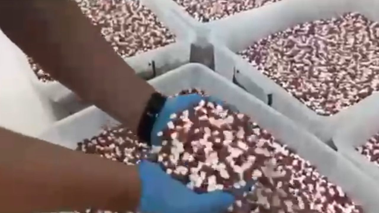 Antalya'da Uyuşturucu İmalathanesine Büyük Operasyon: 1.8 Milyon Hap Ele Geçirildi