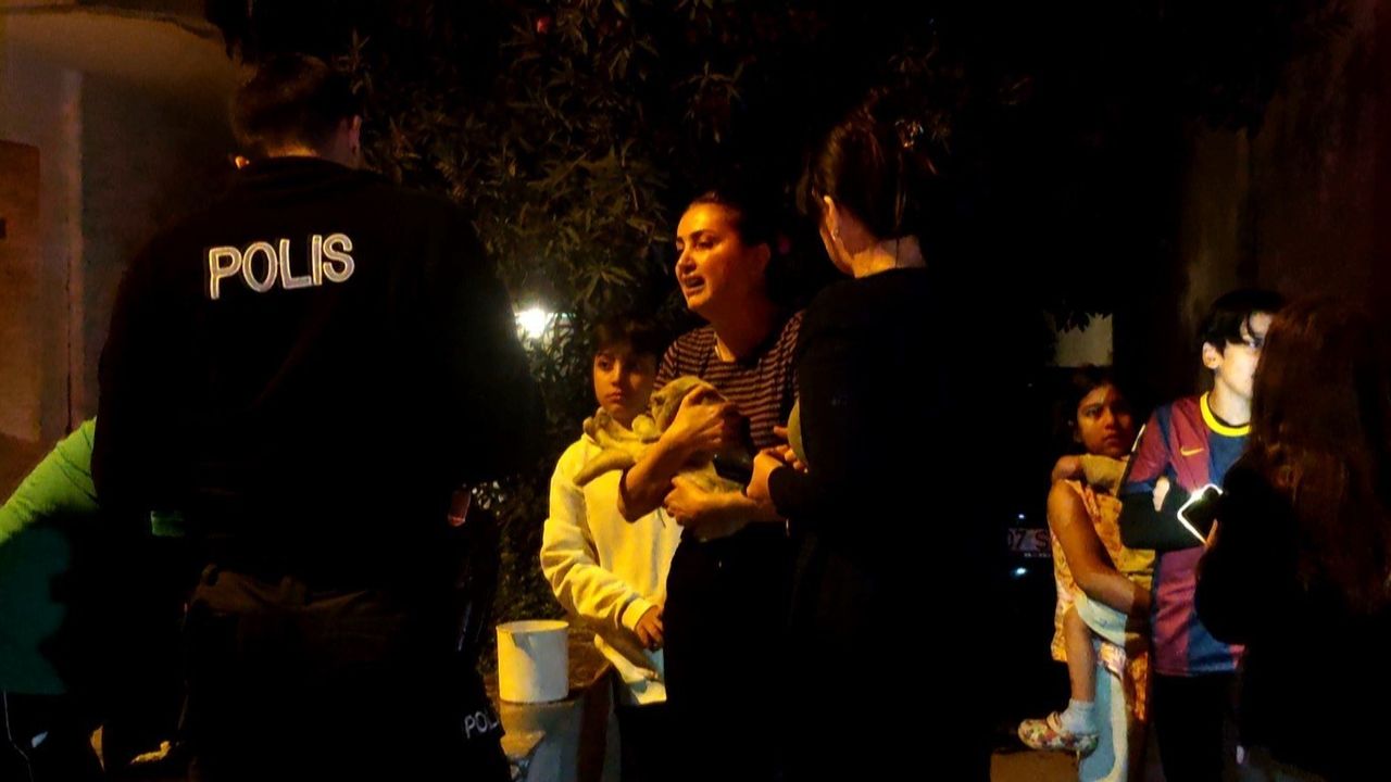 Antalya Kepez'te yangında 2 kedi yaşamını yitirdi