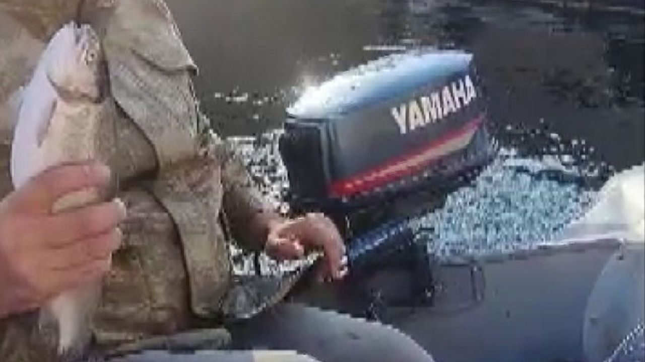 Arapgir'de amatör balıkçının kediyle paylaştığı balık gülümsetti