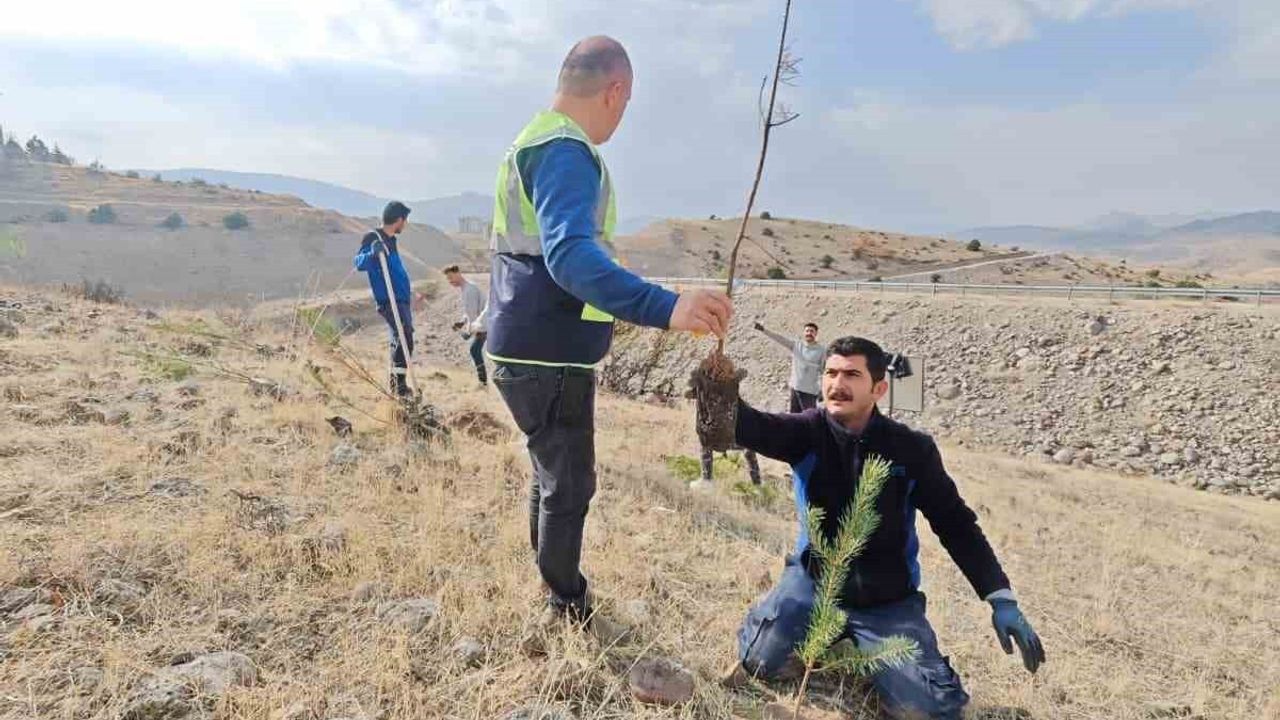 Aras Elektrik 11 Kasım’da Sorumluluk Bölgesinde Fidan Dikti